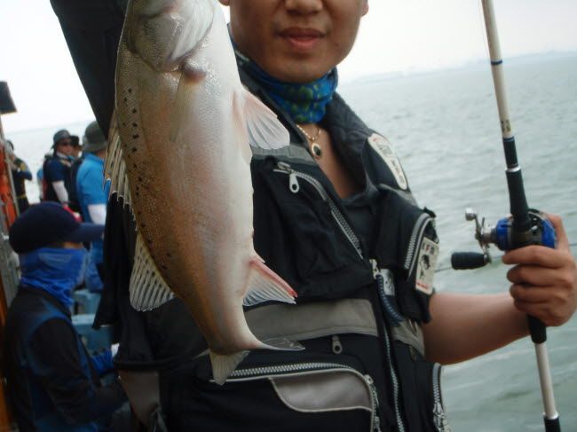 91.jpg