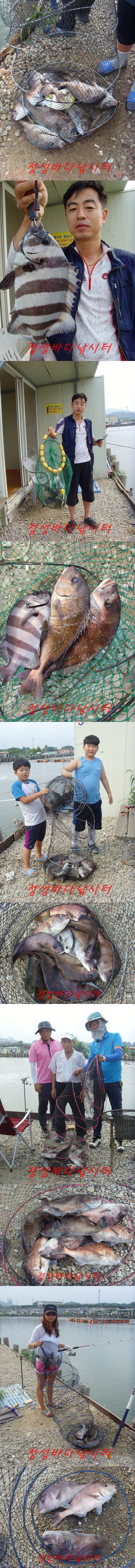 55555.jpg