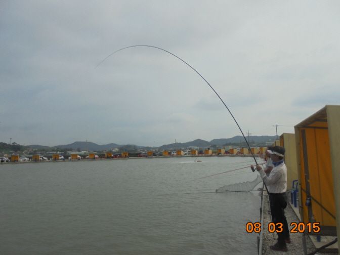 �ٹ̱�_DSC01502.JPG
