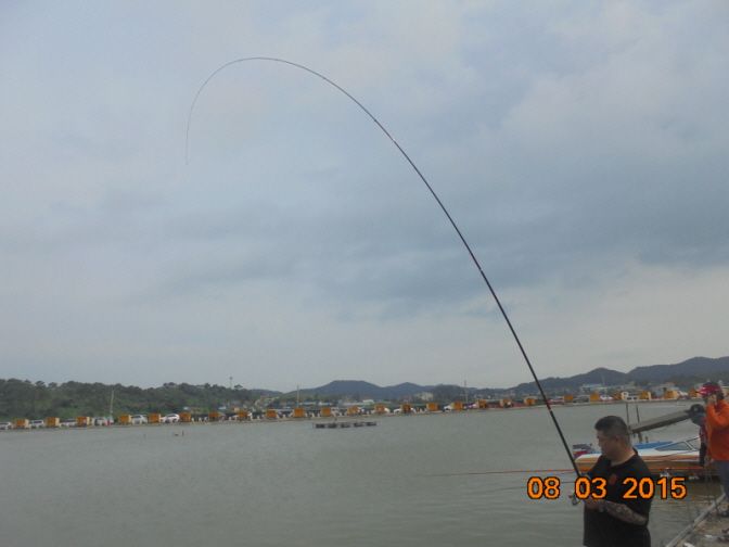 �ٹ̱�_DSC01515.JPG