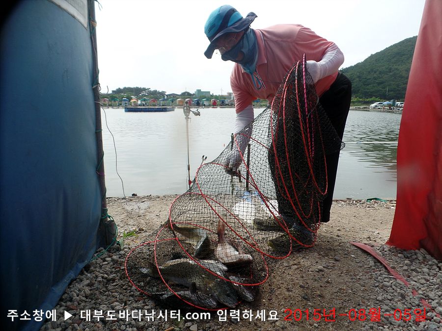 SAM_9973.jpg