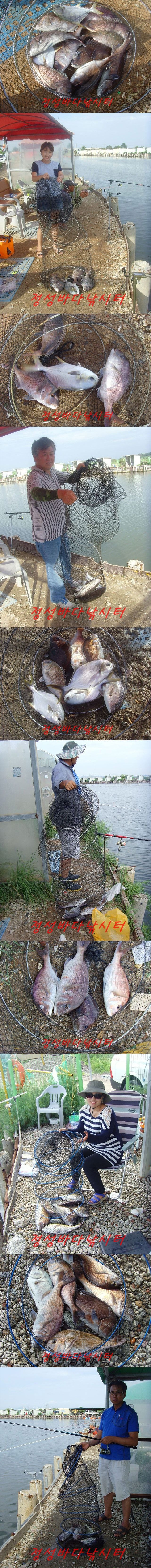 101010.jpg