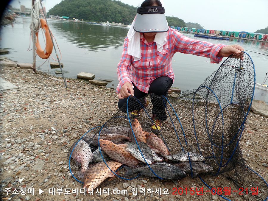 SAM_0914.jpg