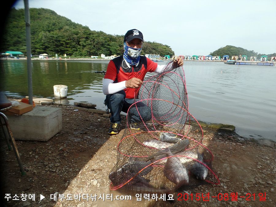 SAM_0929.jpg