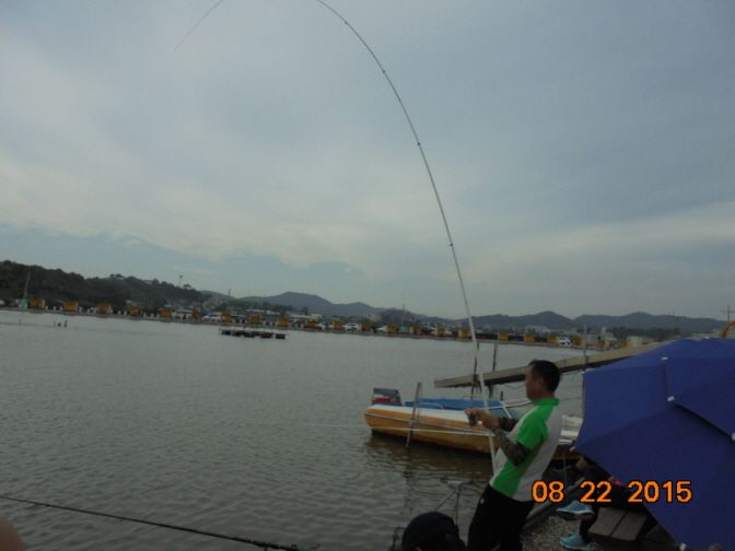 ٹ̱_DSC02351.JPG