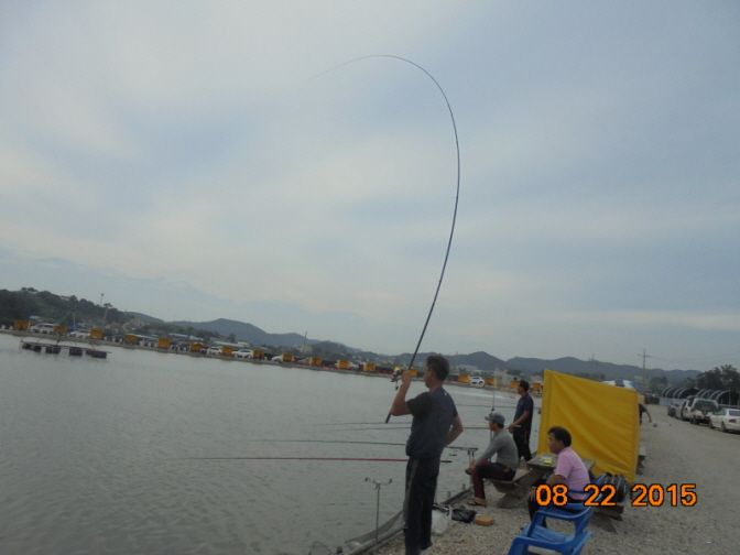 ٹ̱_DSC02354.JPG