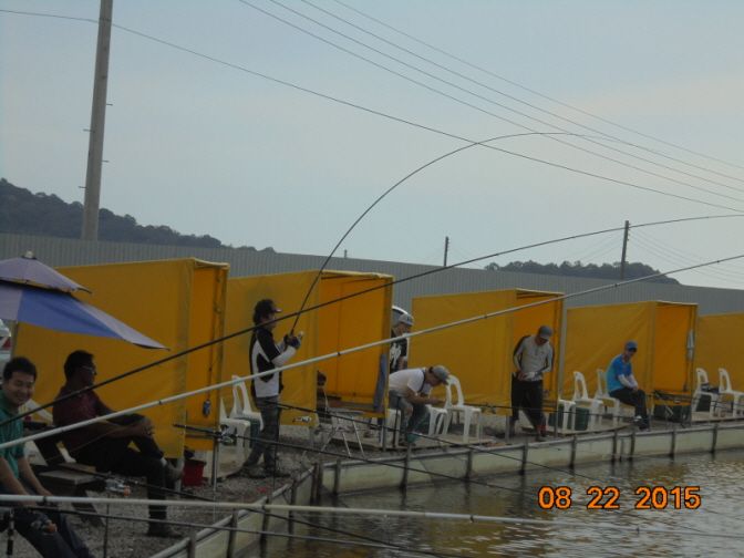 ٹ̱_DSC02357.JPG