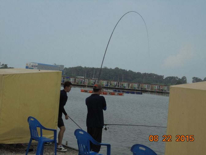 ٹ̱_DSC02316.JPG