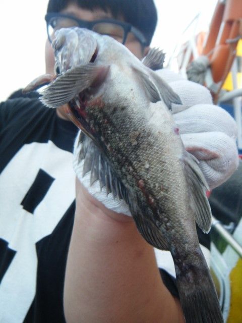 003 (480x640).jpg