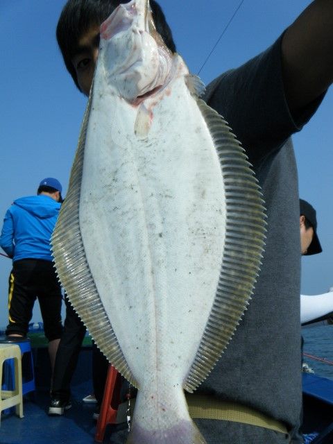 012 (480x640).jpg