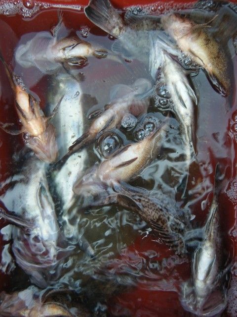 024 (480x640).jpg