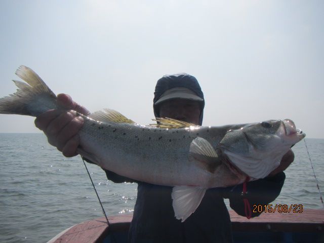 IMG_4278.JPG