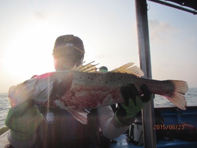 IMG_4251.JPG