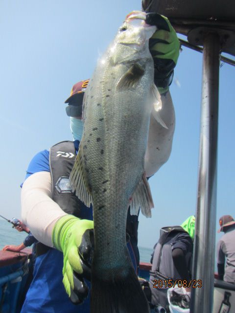 IMG_4285.JPG