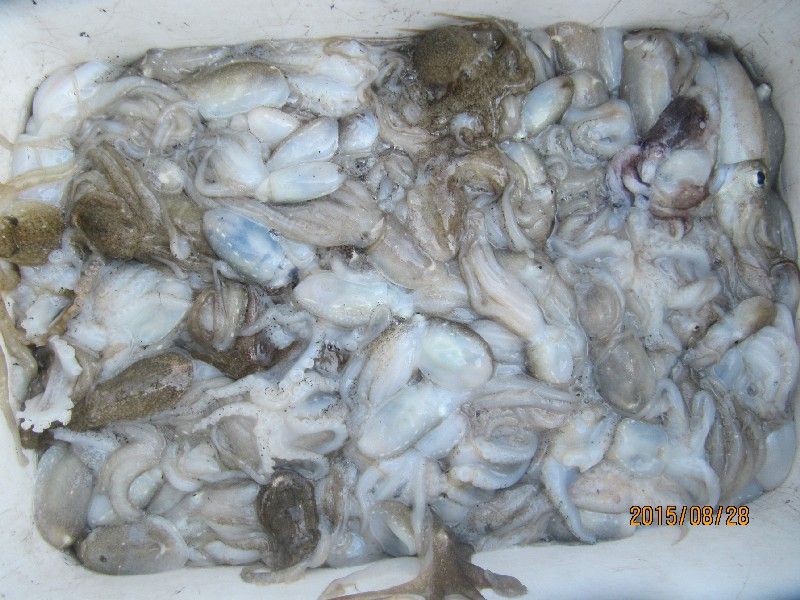  179.jpg