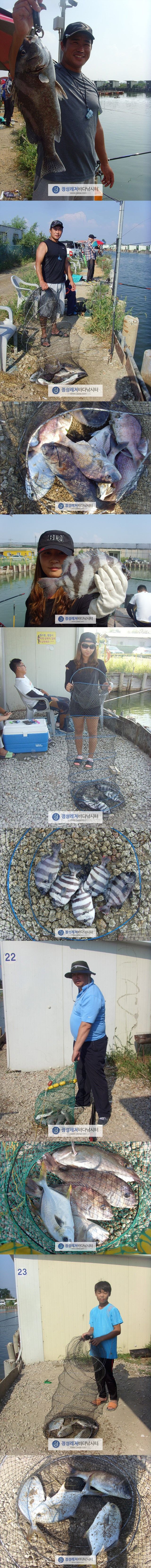 55555.jpg
