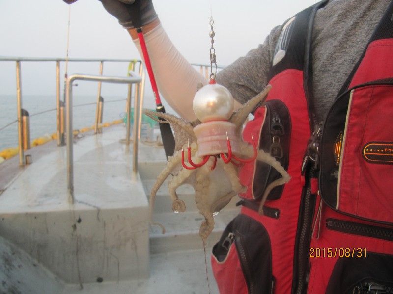 ���� 547.jpg