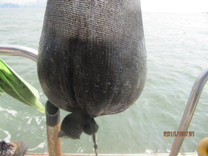 ���� 552.jpg