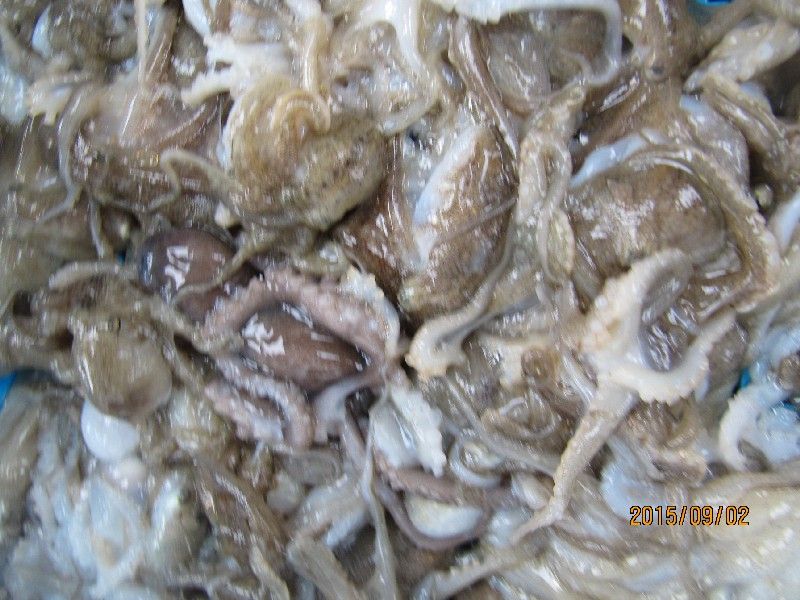 ���� 309.jpg