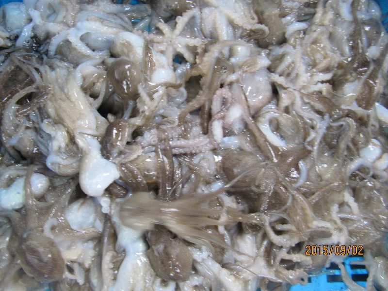 ���� 308.jpg