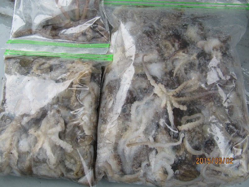 ���� 310.jpg