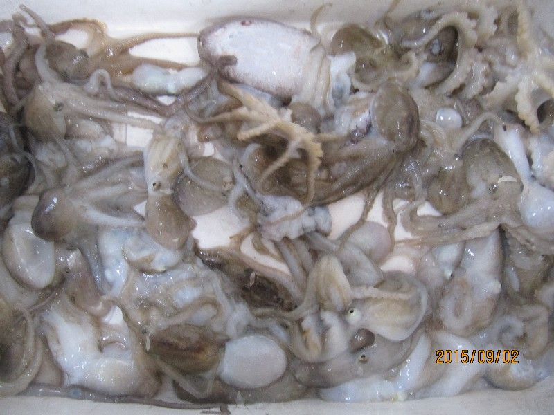 ���� 311.jpg