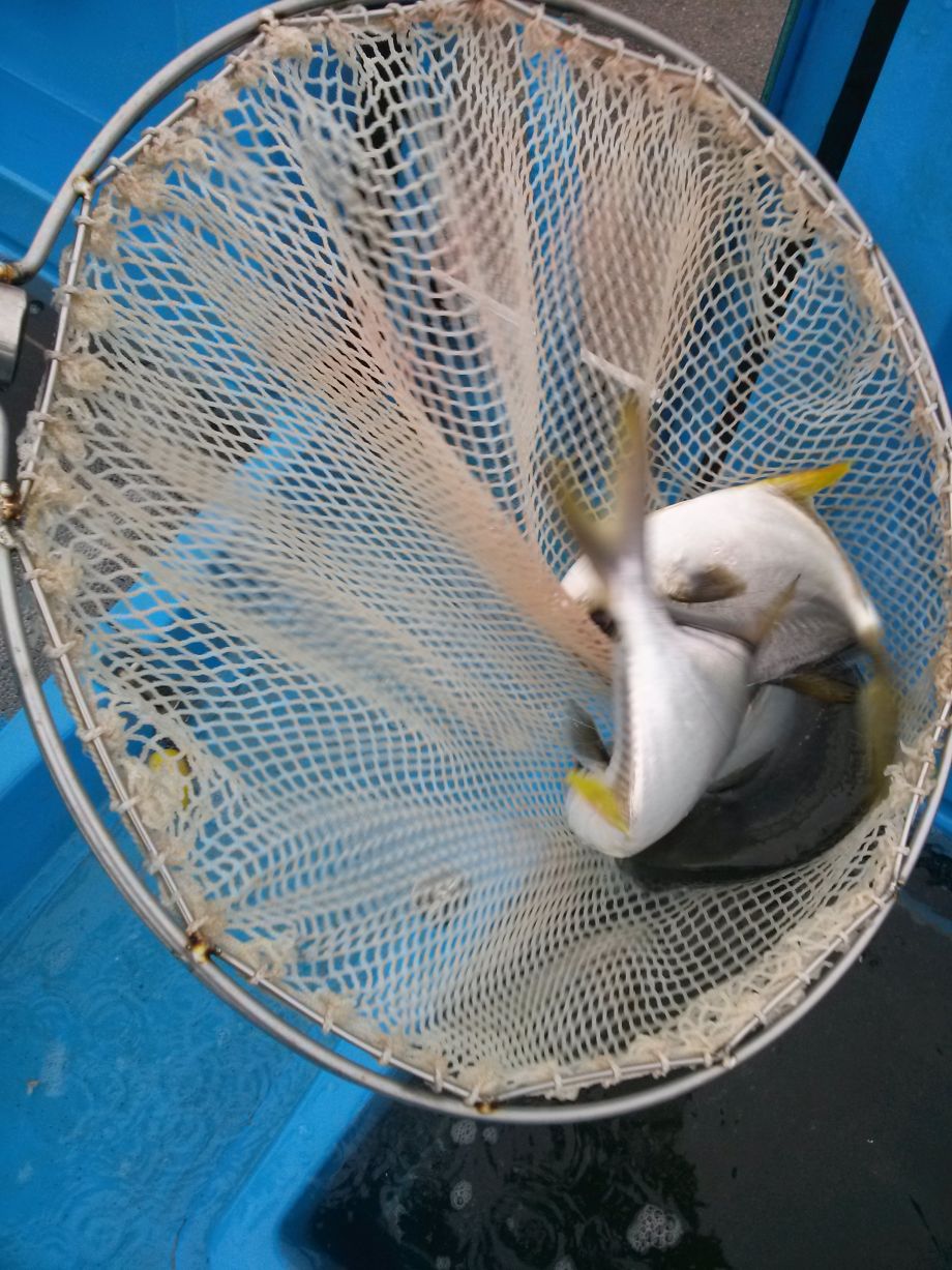 CAM02943.jpg