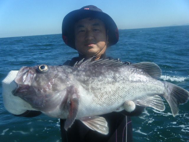 8 035.jpg