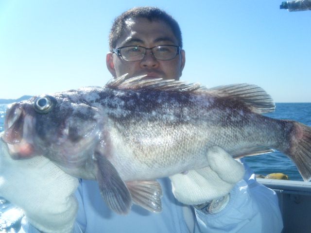 8 038.jpg