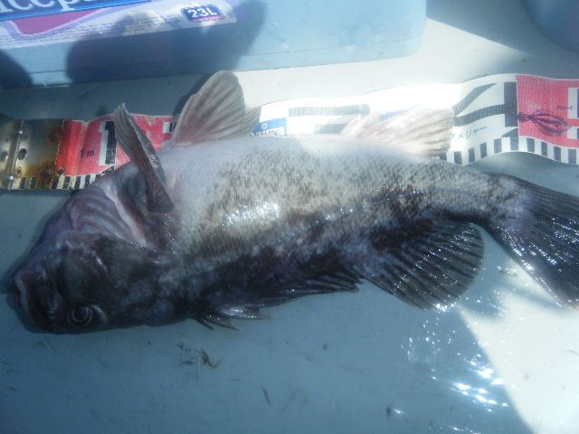 8 036.jpg