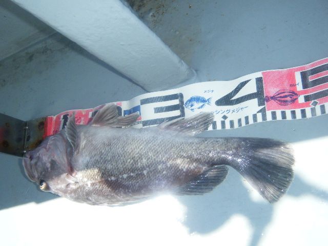 8 094.jpg
