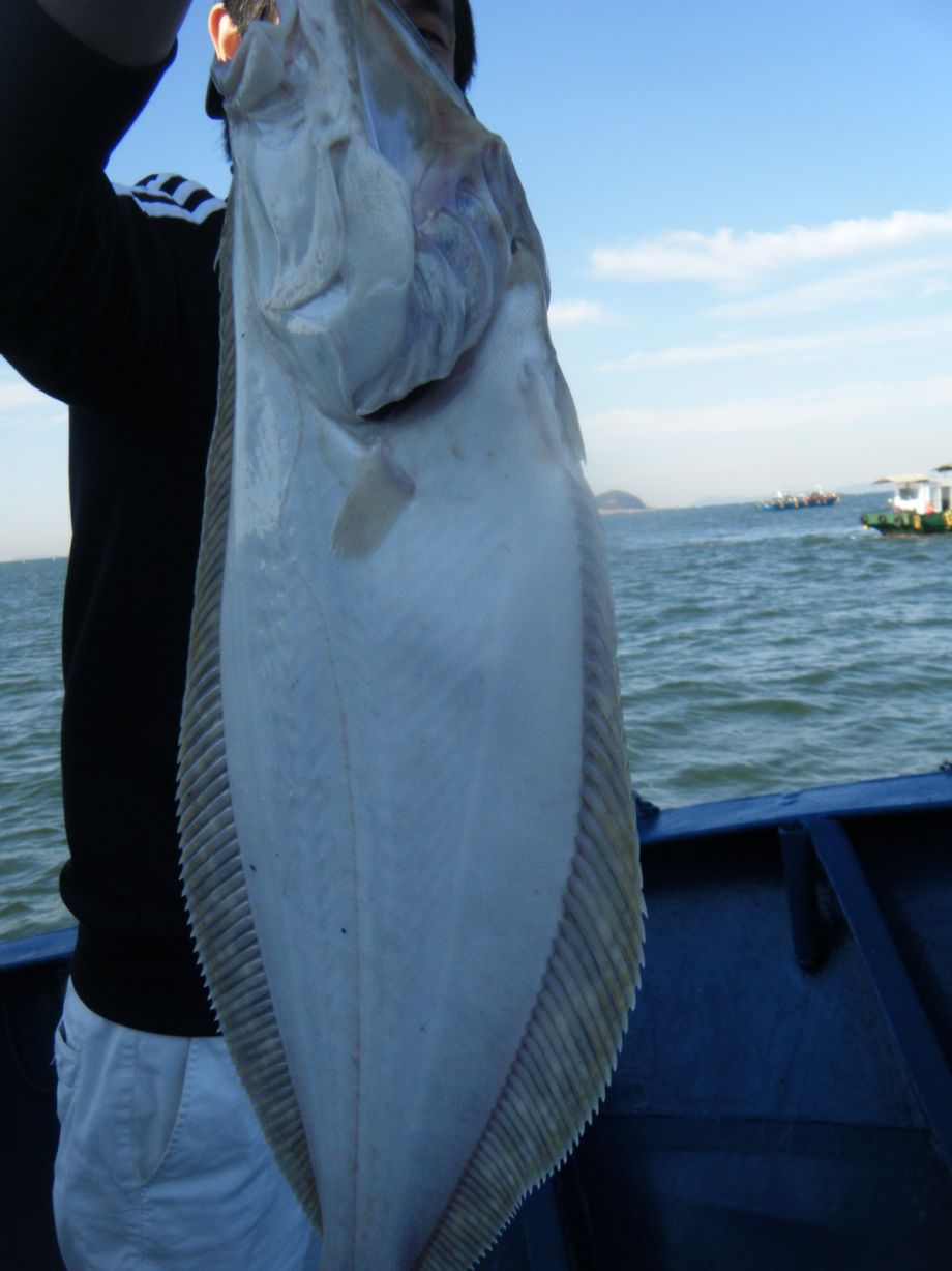 DSCF0583.JPG