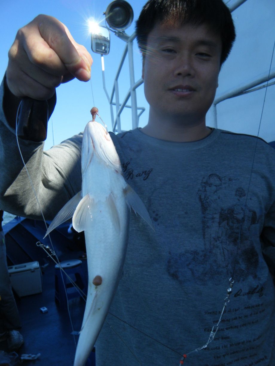 DSCF0584.JPG
