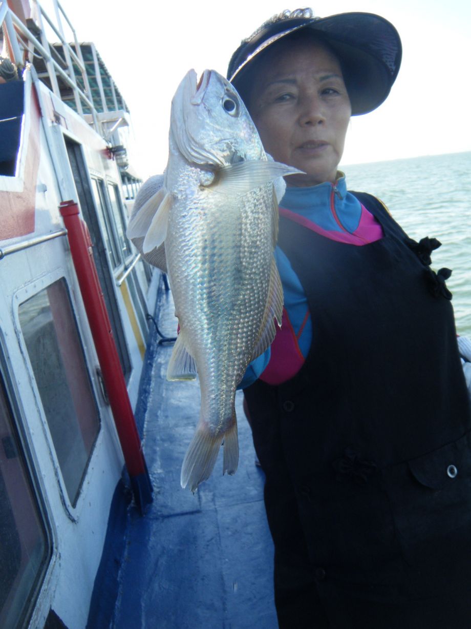 DSCF0588.JPG