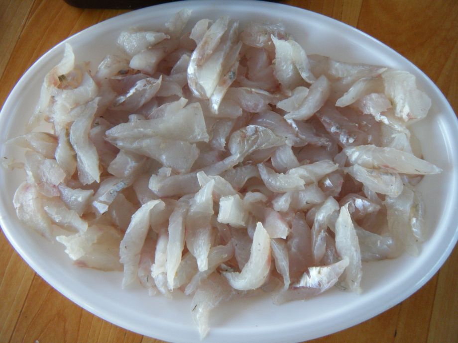 DSCF0599.JPG