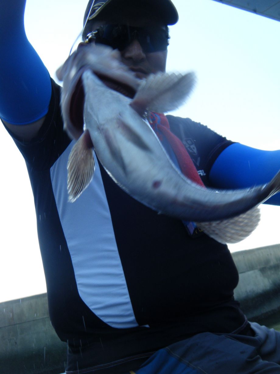 DSCF0600.JPG