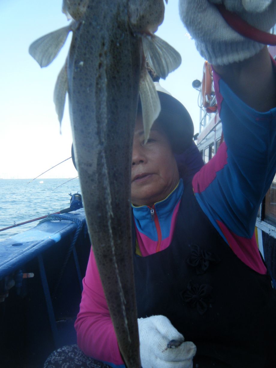 DSCF0603.JPG