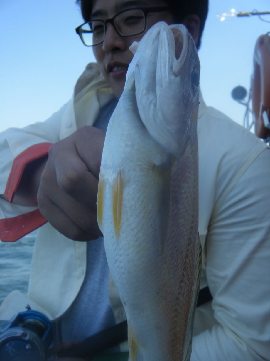 DSCF0607.JPG