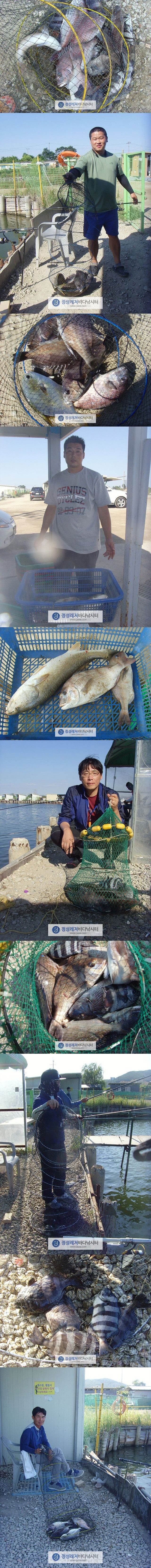 3333.jpg