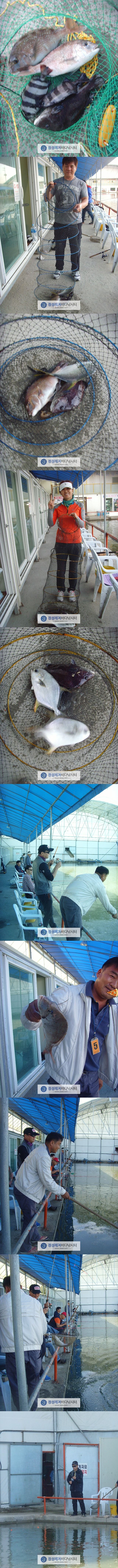 555.jpg
