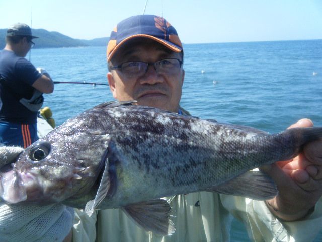 8 042.jpg