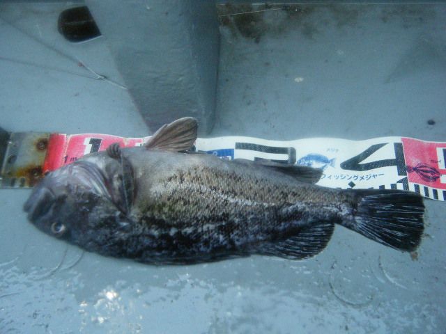 8 050.jpg