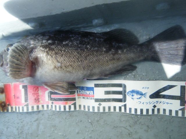 8 054.jpg