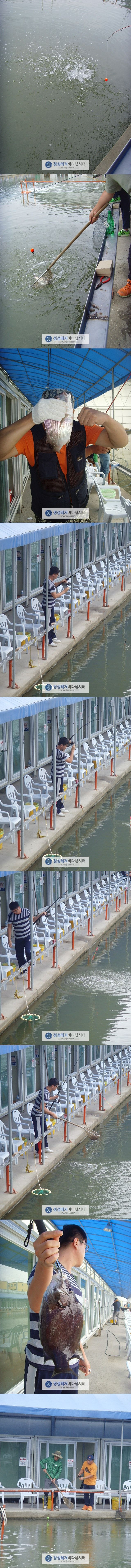 555.jpg