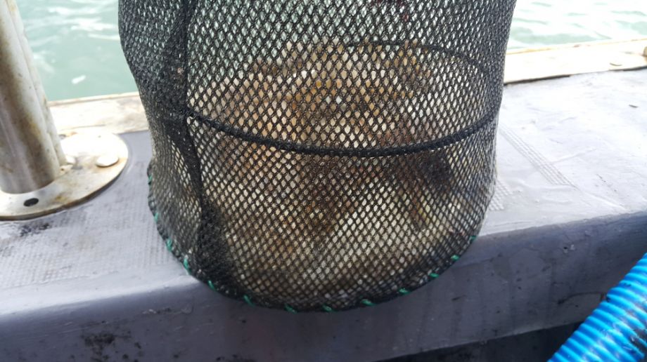 ũ�⺯ȯ_20150912_141655.jpg