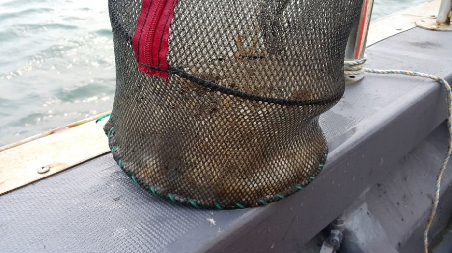 ũ�⺯ȯ_20150913_161054.jpg