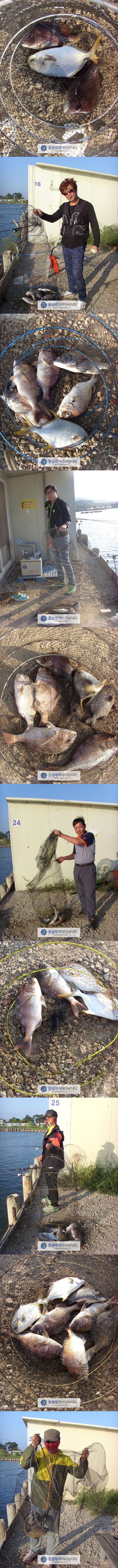 5555.jpg