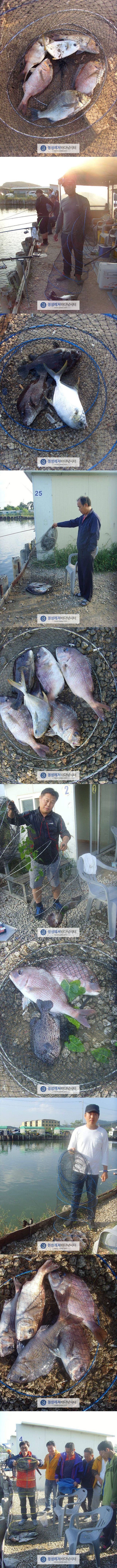 8888.jpg