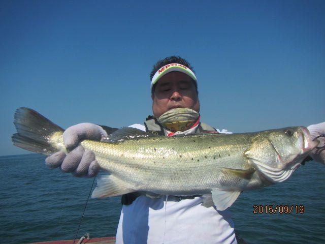 IMG_4692.JPG