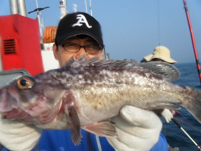 8 024.jpg